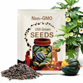 Squash Acorn Table Queen Seeds 30 Ct Winter Vegetable NON-GMO USA