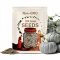 10 Silver Moon Pumpkin Seeds. Ships free