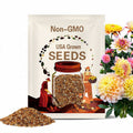 40+ Seeds Honey Dew Dahlia, Perennial Blooms, Easy Grow Garden Flower, Cut Flower Seeds, Vibrant Summer Blooms