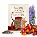 Mini Bell Pepper Seed Variety Mix
