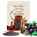Purple Beauty Sweet Bell Pepper Pepper Seeds Pack - Non-GMO Organic Sweet Bell Pepper Seeds, Great gift for gardeners!