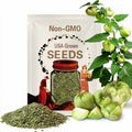 Green Tomatillo Salsa Verde Husk Tomato Premium Seed Packet