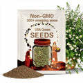 300+CREEPING SNOW DAISY Flower Seeds Flowering Groundcover Trailing Hanging Baskets Container Rock Garden  Fast Easy