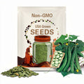 Cetriolo Chinese Slangen Cucumbers Seeds