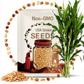 Dutch Corn Salad Seeds - Organic, Heirloom, Open Pollinated, Non GMO - Grow Indoors, Outdoors, In Pots, Grow Beds, Hydroponics & Aquaponics