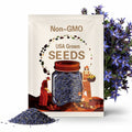 Borage Blue Seeds – Heirloom Medicinal and Culinary Herb, Non-GMO, Beautiful Edible Flowers for Herbal Gardens and Wellness | 100 Seeds