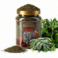 100 Huacatay Seeds Black Mint | Peruvian Herb (Tagetes Minuta) | Medicinal & Culinary Herb