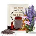Purple Coneflower (Echinacea) Seeds – Heirloom Medicinal Herb, Pollinator Flower & Perennial, Easy to Grow | 100 Seeds