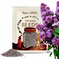 Early Blooming Lilac Seeds – Heirloom Shrub, Fragrant and Beautiful Blooms, Early Spring Flowering | 30 Seeds