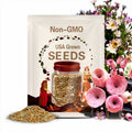 Greenovia Aurea ex El Hierro, Pink Mountain Rose , 10 seeds [SEEDS ONLY]
