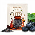 10 Black Kat Pumpkin Seeds. Ships free