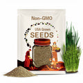 Cat Grass Seeds Mix - 20,800 Non-GMO Heirloom Seeds for Cats & Pets, 16 oz Pack for Growing Barley, Oat, Rye, Wheat Grass Seeds for Planting