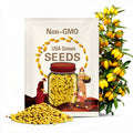 Yellow Dragon Heirloom Tomato Premium Seed Packet