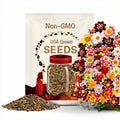 20+ Seeds| Mix Collarette Dahlia Seeds - Perennial - Flowering - Hybrid - Open-Pollinating - Fast Growing - Clumping - Plant in Spring #D047
