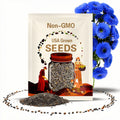 50 Blue Teddy Bear Sunflower Seeds: Rare Fluffy Blooms Easy Grow