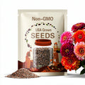 Aurora Zinnia Seeds, Bi-Color Zinnia Elegans ZE4125