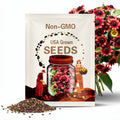 20 CHERRY BRANDY RUDBECKIA Hirta Bicolor Red Black Eyed Susan Flower Seeds