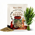 Texas Grano 1015Y Onions Seeds