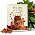 5 Theobroma cacao seeds, cacao, cacao beans for planting, chocolate, food for the gods, Haiti,