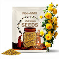 30 Seeds | Yellow Climbing Rose Seed - Perennial -Perennial - Authentic Seeds - Mix Seeds - Late Winter to Early Spring Planting Time #1063.
