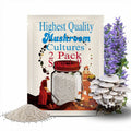 2 Pack Liquid Culture Syringes  - Gourmet Mushroom Culture Special!