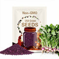Turnip Purple Top White Globe seeds