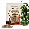 10 Apple Gourd Seeds. Ships free.