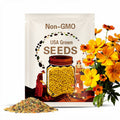 Sulphur Bright Lights Mix Cosmos Seeds – 100 Seeds | Vibrant Orange, Yellow & Red Blooms, Easy-to-Grow Annual for Gardens, Borders