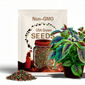 Red Green Amaranth Spinach Seeds: Heirloom Non-GMO Leafy Greens