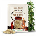 Organic Pole Green Bean Seeds 有机芸豆九粒白/ 四季豆/九粒白 | 30 seeds