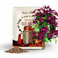 25 Seeds | Purple Red Clematis Seeds | Climbing Flower Vine | Vibrant Perennial Blooms | Balcony Trellis Garden | Non-GMO Flower Seeds