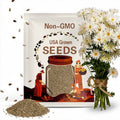 100s|Crazy Daisy (Ox Eye) -Perennial -Authentic Seeds-Flowers -Organic. Non GMO -Vegetable Seeds-Mix Seeds for Plant-.#N013