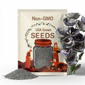 Amazing Grey Poppy Seeds – Heirloom, Rare Silver-Grey Blooms for Floral Design & Dried Pods, Unique Annual | 25 Seeds
