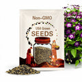 Clematis happy jack purple flower seed 10