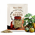 Kakai Pumpkin Hulless Seeds for Planting Packet