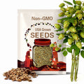 Common Hoptree Seeds (PTELEA TRIFOLIATA) (Stinking Ash Tree)