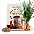 Onion Seeds, White Lisbon Bunching Onion - 150+ Seeds, Onion Seeds, Green Onions, Chives