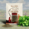 Astro Arugula Seeds | Heirloom - Non-GMO | Rucola Selvatica | Vegetable Seeds | Seed Store | 1176