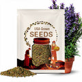 50 Organic Rosemary Seeds: Aromatic Perennial Evergreen Herb - Culinary and Beneficial