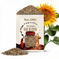 Mongolian Giant Sunflower Seeds – Heirloom